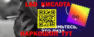 сатива Будённовск