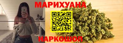сатива Будённовск